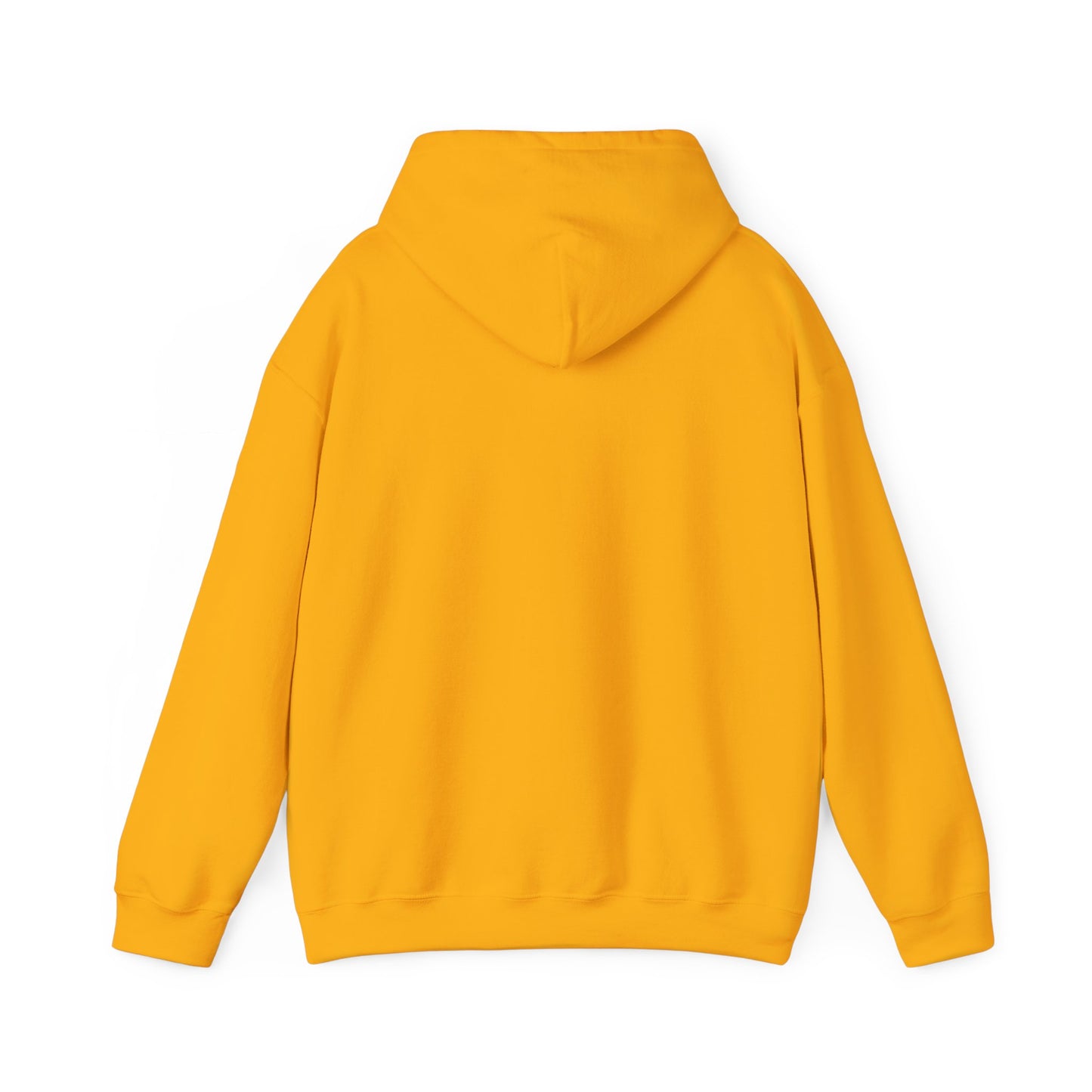 cc (Unisex) multi-color Confident Clothing Luxury Hooded Sweatshirt (black logo)