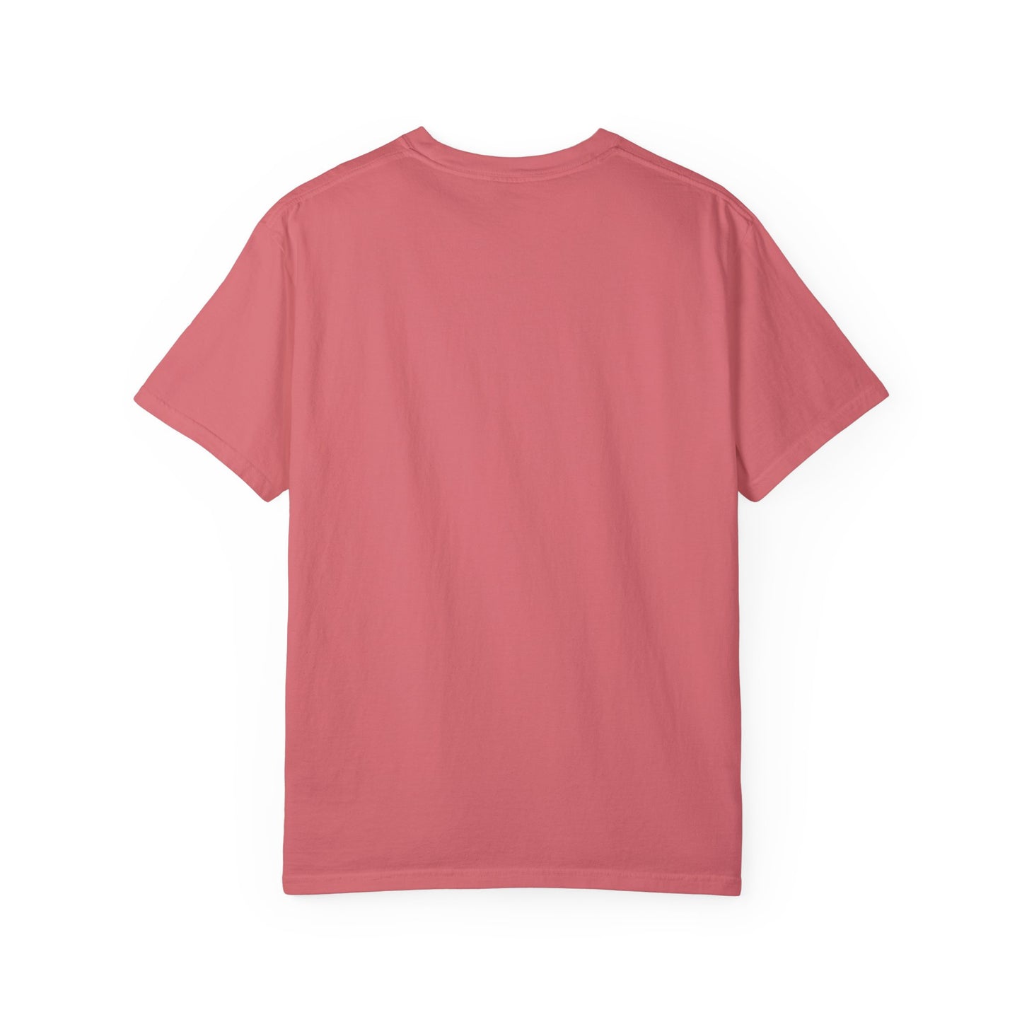 Veteran 2 Unisex Garment-Dyed T-shirt (white) black logo