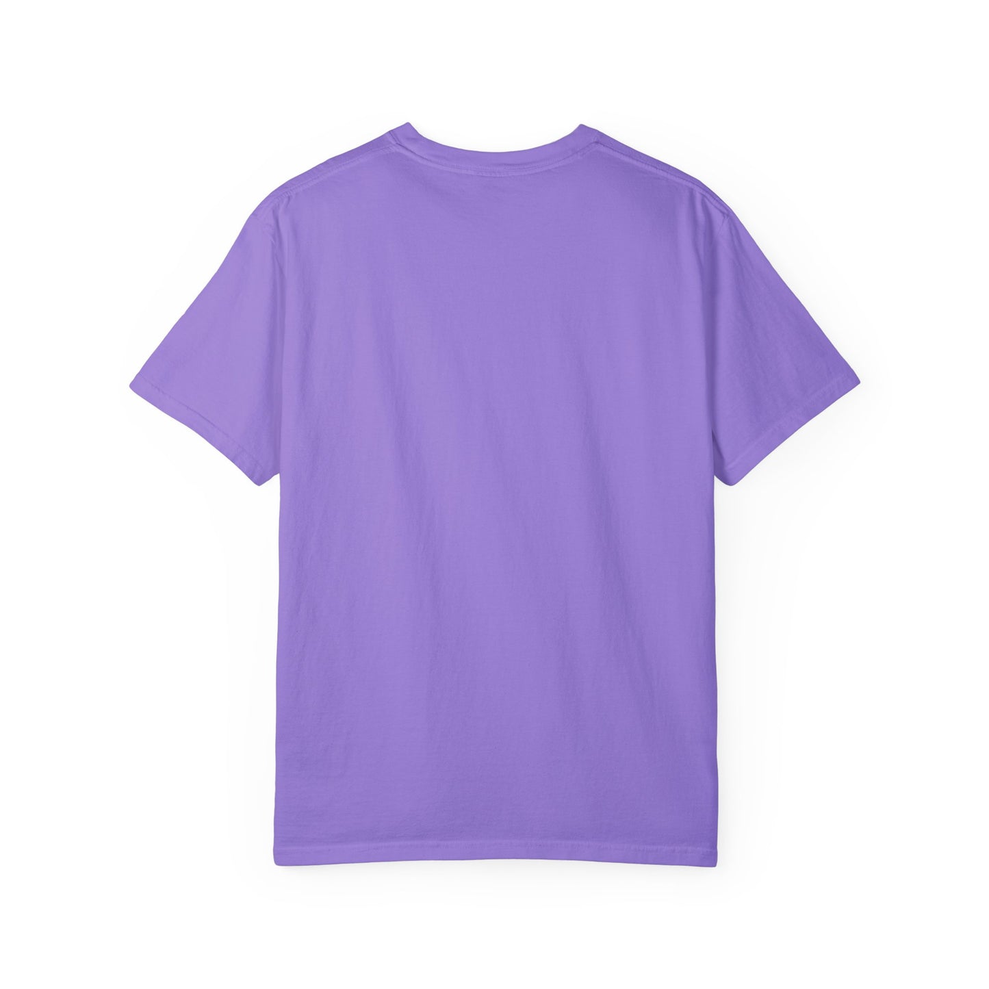 Veteran 2 Unisex Garment-Dyed T-shirt (white) black logo