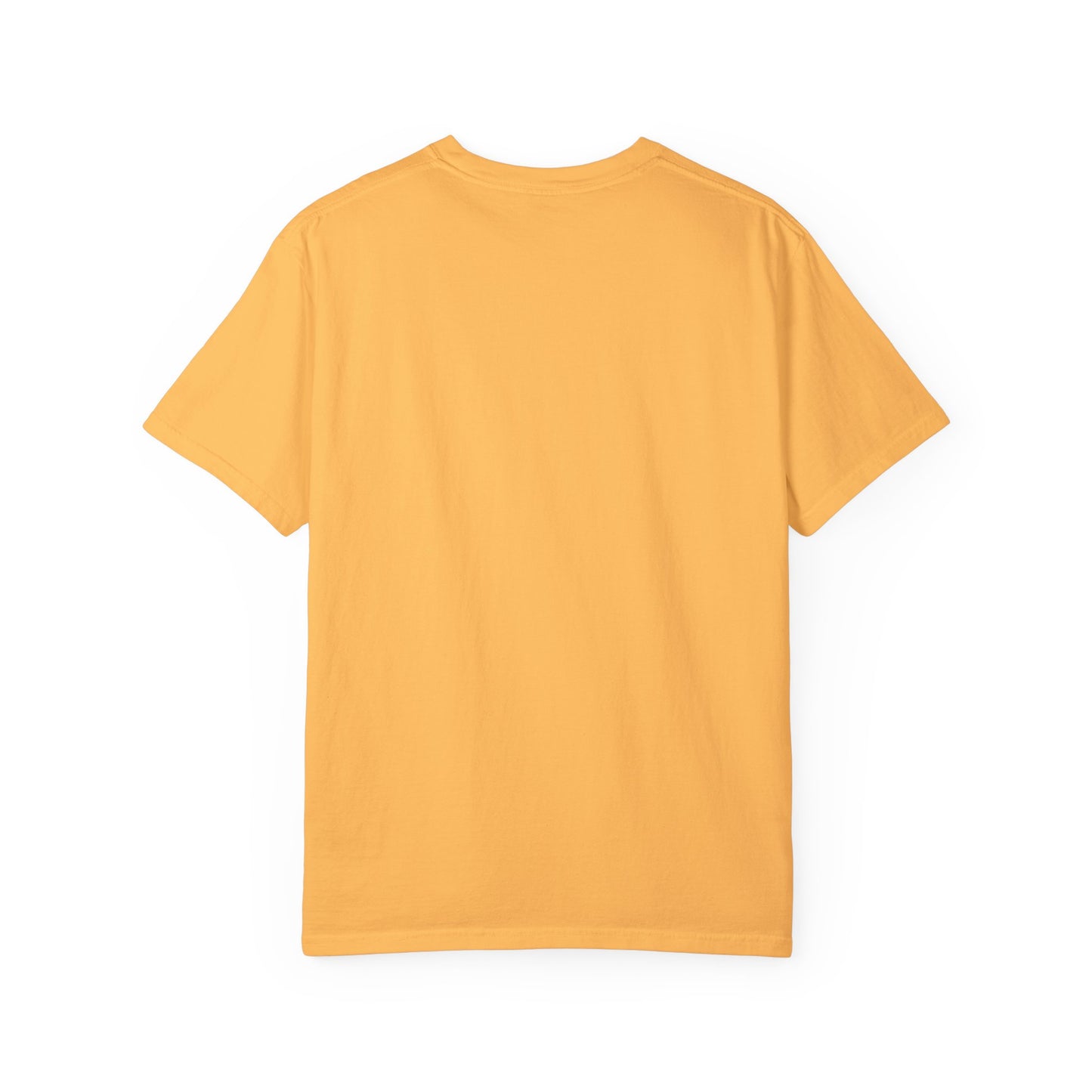 Veteran 1 Unisex Garment-Dyed T-shirt (white) black logo