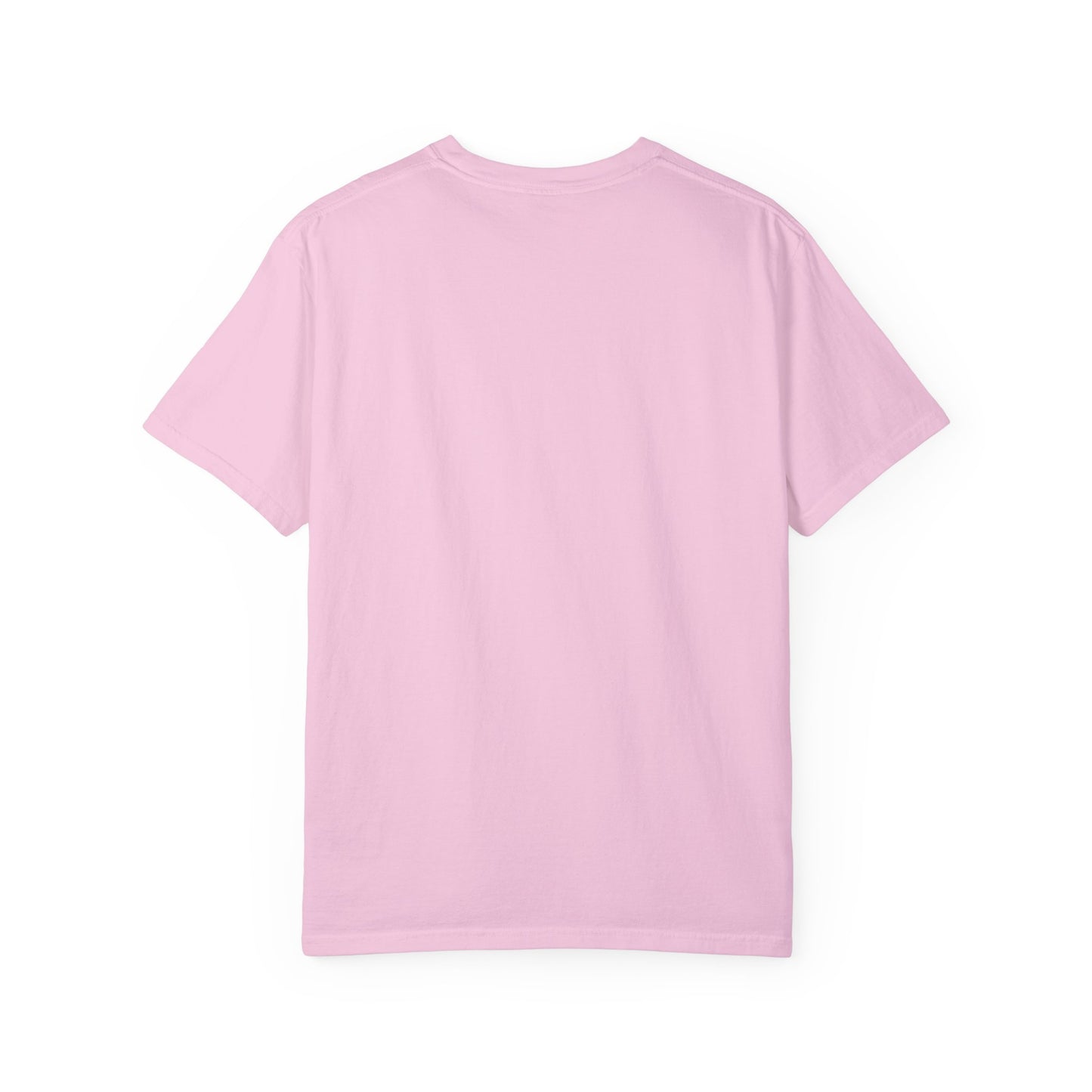 Veteran 2 Unisex Garment-Dyed T-shirt (white) black logo
