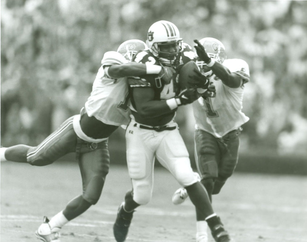 (Audiobook $0.99 SPECIAL PROMO PRICE) Journey to the Pros (2025 updated version)