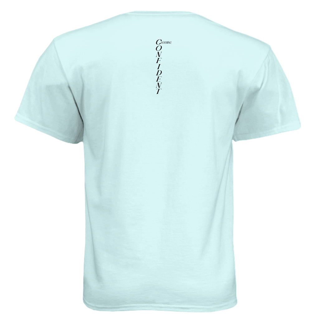 Ice Blue - N6210 - BACK