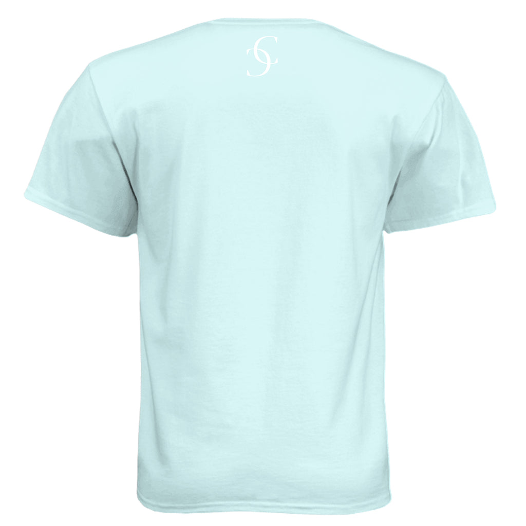 Ice Blue - N6210 - BACK