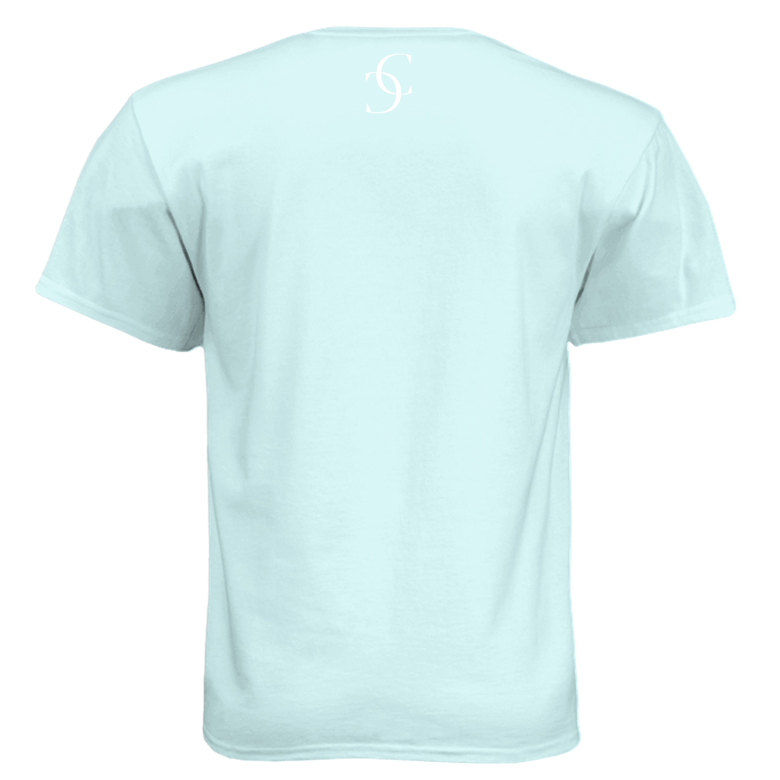 Ice Blue - N6210 - BACK