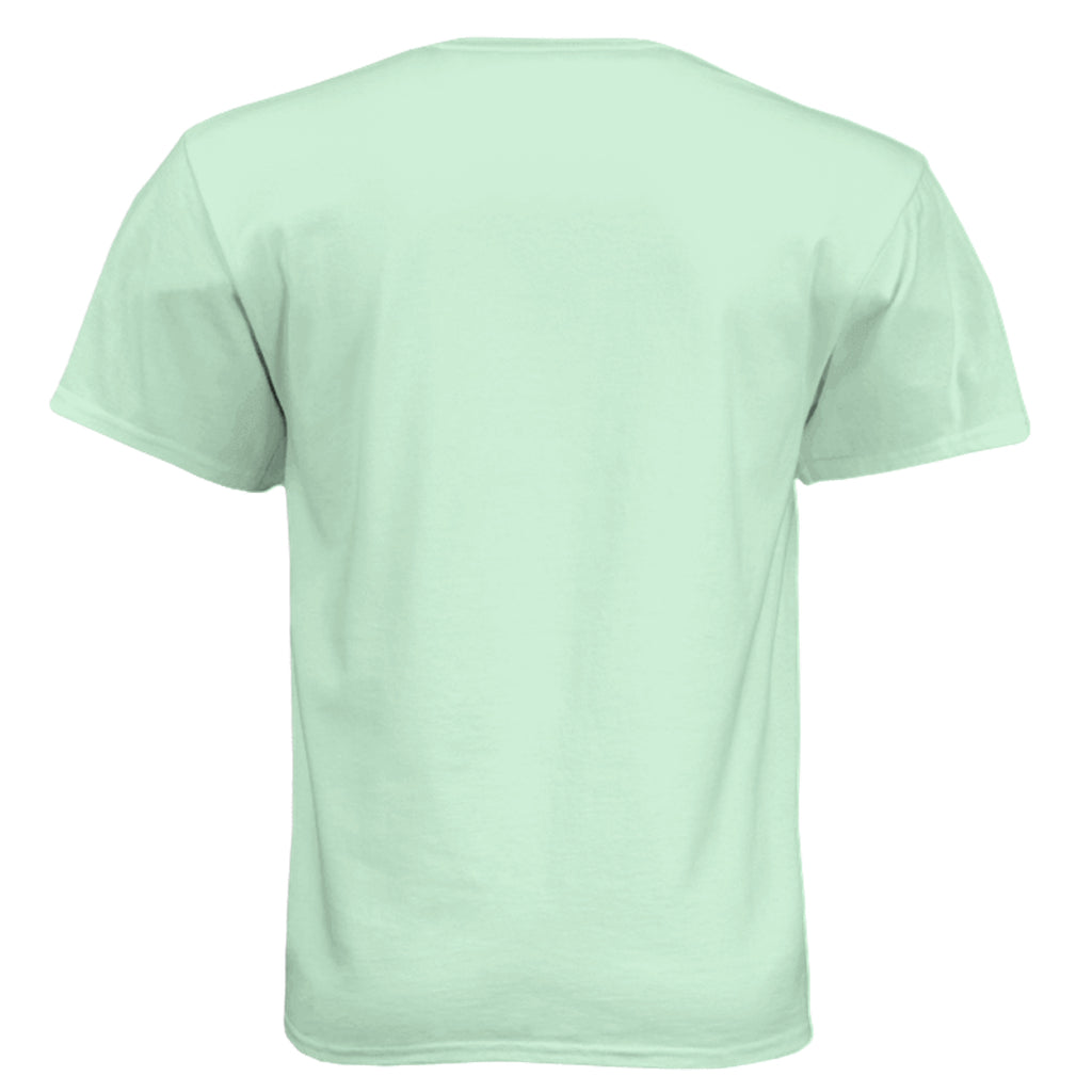 Mint - N6210 - BACK
