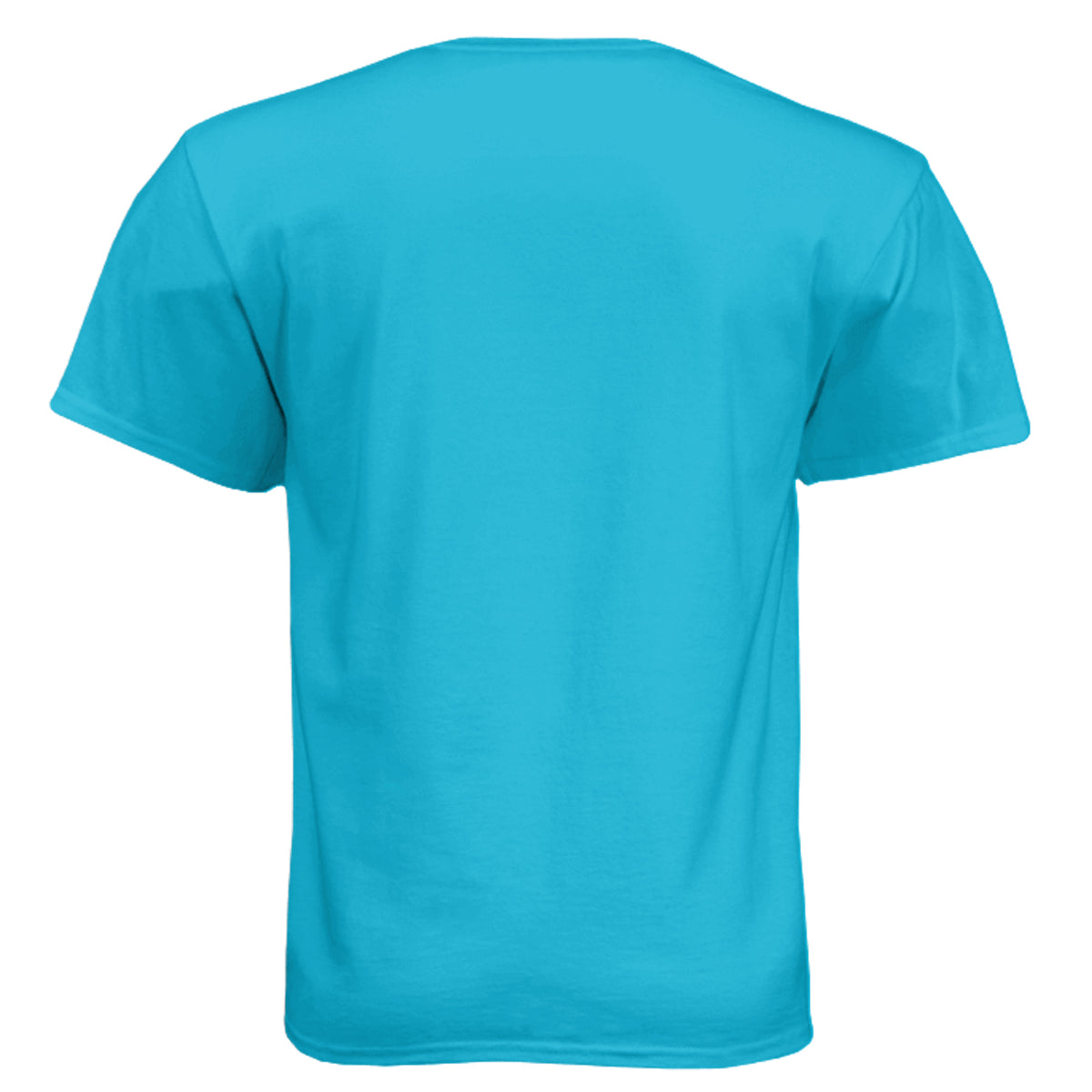 Bondi Blue - N6210 - BACK